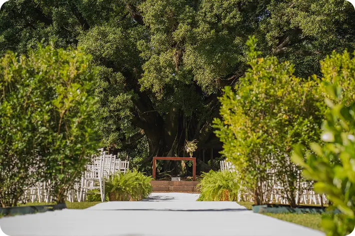 AnyConv.com__IMG_0378-1