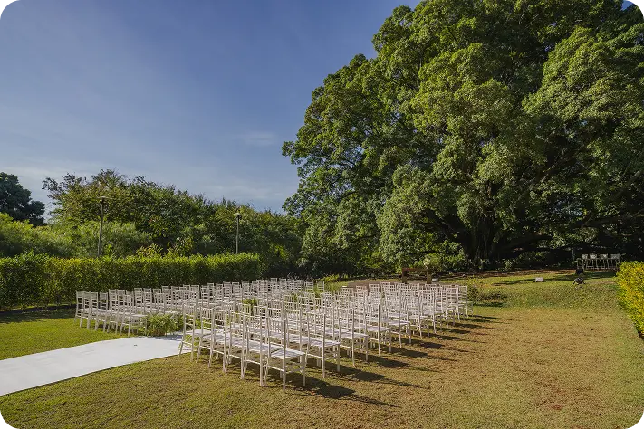 AnyConv.com__IMG_0378-2