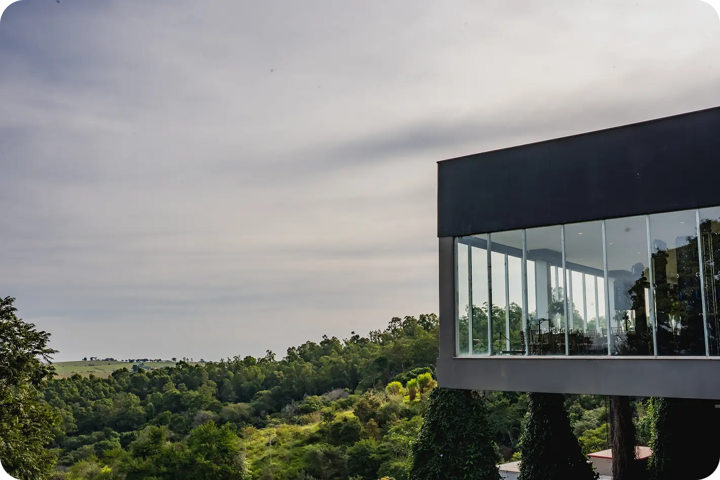 AnyConv.com__IMG_0378-6